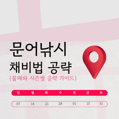 문어낚시 채비법 좋은 물때와 시즌별 공략 가이드