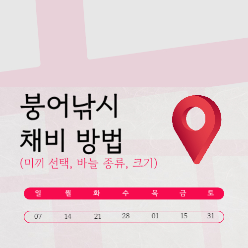 붕어낚시 채비 방법 미끼 선택과 바늘 종류, 크기까지